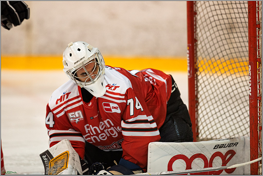 PENNY DEL; Testspiel Koelner Haie- EC Bad Nauheim; Koeln, 02.09.2022